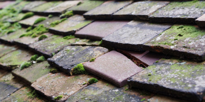 Ducklington roof repair costs